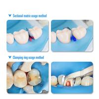 Dental section Matrix System Matrix Band matryce metalowe żywica zacisk/pierścień oddzielający autoklawowalne narzędzia dentystyczne 6